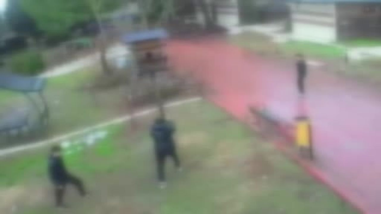 Adana'da 4 genç, Dinazor Park'taki kuş yuvasını parçaladı