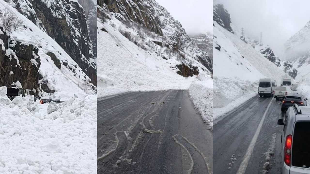 Hakkari-Çukurca kara yolunda çığ paniği — Şine Dağı'nda yol kısa süre kapandı