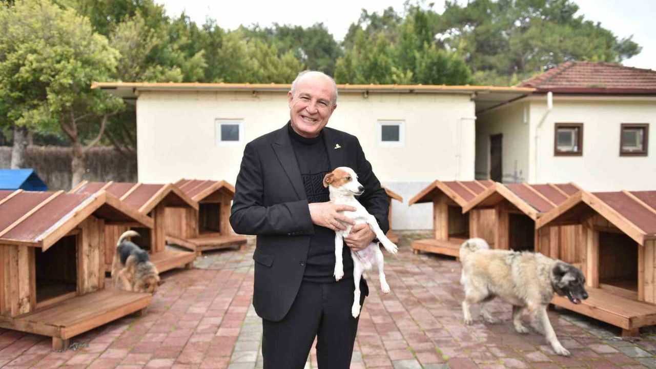 Kepez'e hayırseverlerden 8 köpek ve 50 kedi kulübesi
