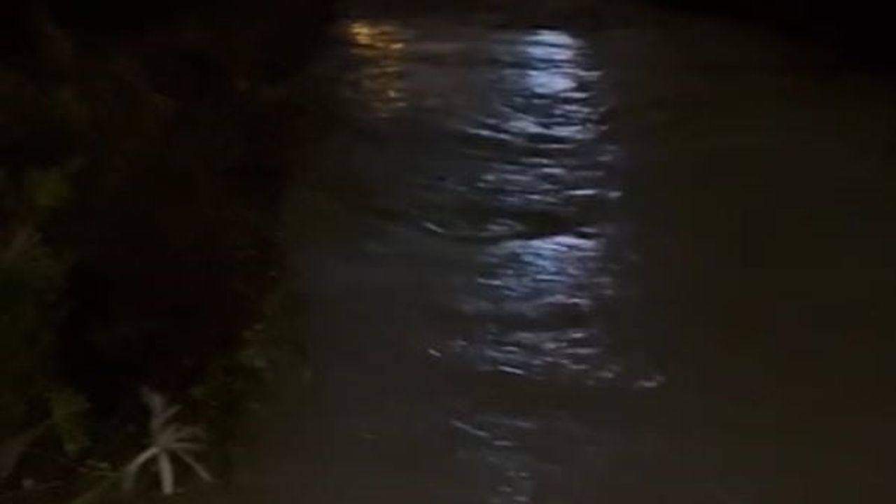 Kuşadası'nda dere taşkını: Alışveriş merkezi sular altında kaldı