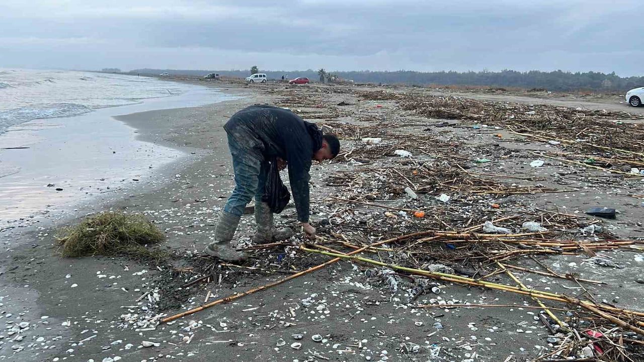 Mersin'de fırtına sonrası kargı midyeleri kıyıya vurdu
