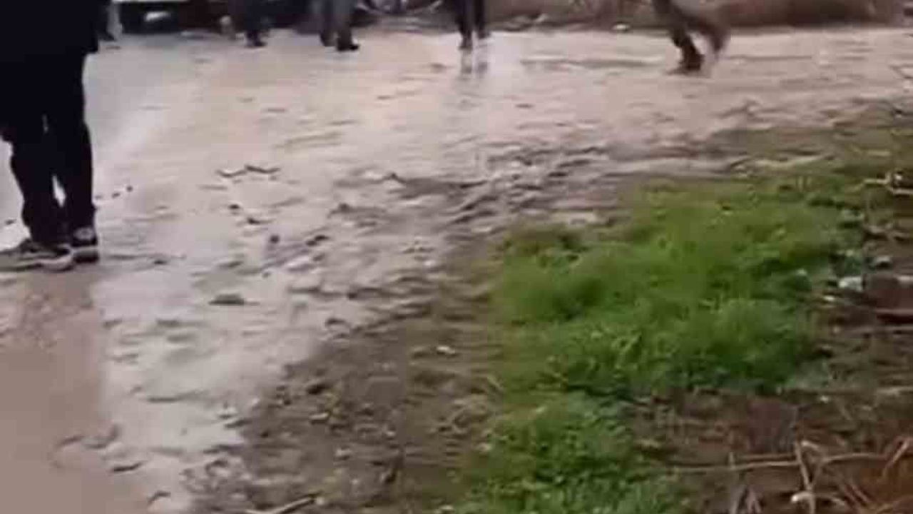 Şanlıurfa'da arazi kavgası: Mil Dalca Mahallesi'nde 7 yaralı