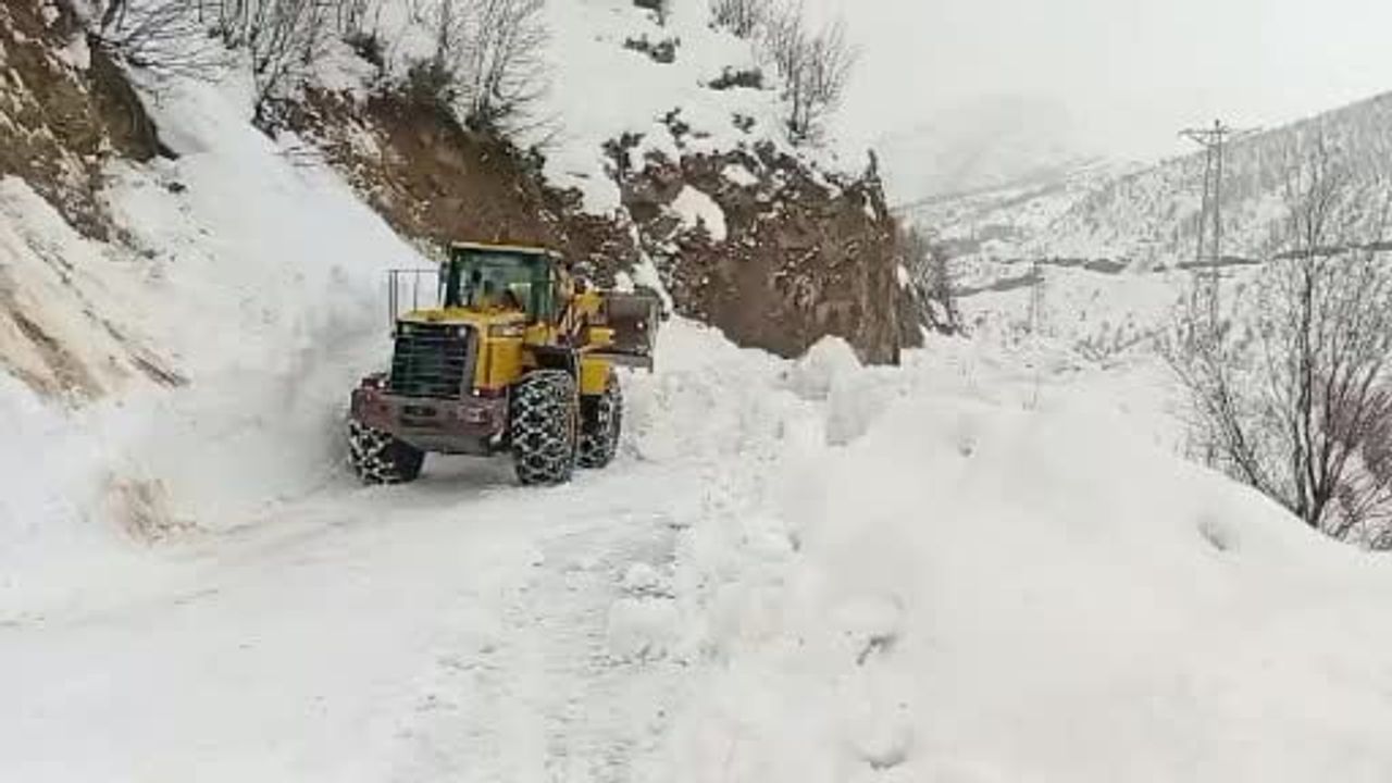 Şirvan'da kar yağışı: Yolda kalan araçlar kurtarıldı