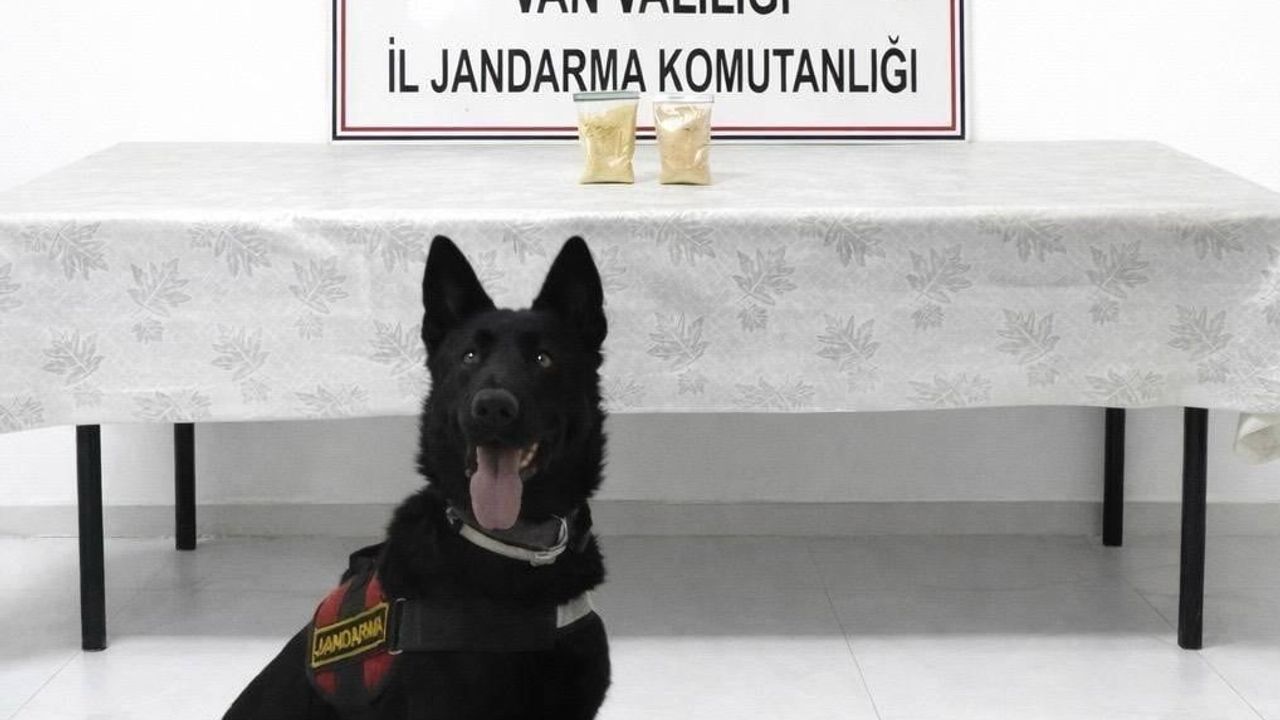 Van Başkale'de İranlı şahıstan 510 gram eroin ele geçirildi