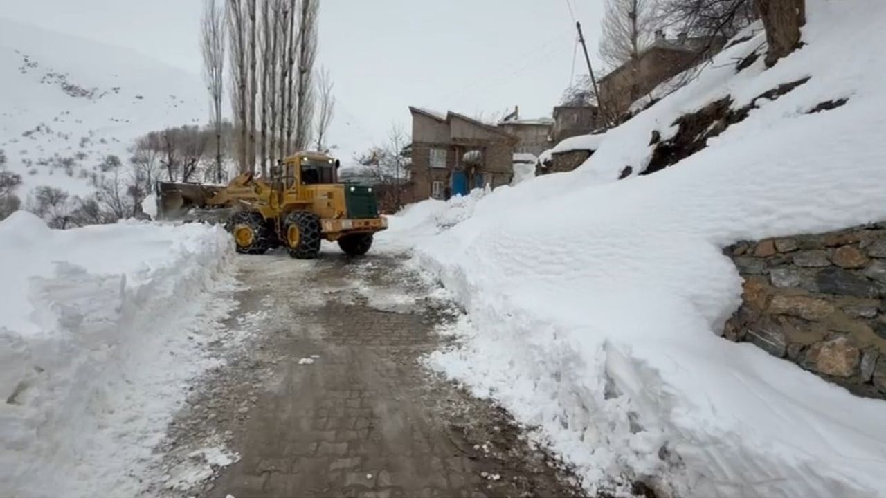 Van'da 78 yerleşim yerinin yolları kar nedeniyle kapandı