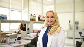 Hitit Üniversitesi'nden Doğal Boya Üretimi: Zedeli Elmalardan Pulcherrimin Üretildi