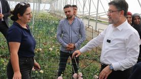 Tarım ve Orman Bakanı Yumaklı Tokat'ta Gıda Güvenliği ve Çiçekçilik Sektörünü Değerlendirdi