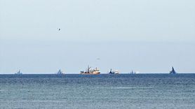 Doğu Karadeniz'de Palamut Avında Bereket