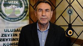 Zeytin Üreticileri Yağmur Bekliyor