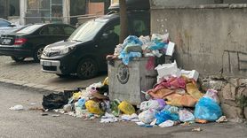 Beşiktaş-Malmö Maçına Hazırlık