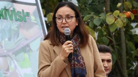 Yalova Kivisinde Hasat Dönemi Başladı