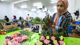 Çiçek Sektörü, Japonya Pazarına Açılmayı Hedefliyor