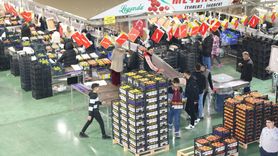 Kumluca ve Finike Domatesleri Yurt Dışında İlgi Görüyor