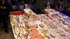 Trabzon'da Mezgit ve İstavrit Satış Fiyatları