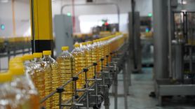 Türk İhracatçılar Ayçiçeği Yağı Talebini Karşılıyor