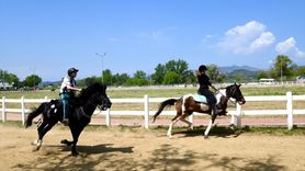 Bursa'da Osman Gazi'yi Anma Şenlikleri Çerçevesinde Rahvan At Yarışları Düzenlendi