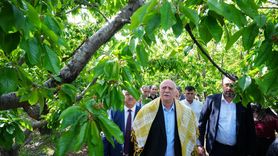 İzmir'deki Zirai Don Hasarı İncelemesi