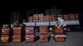 Kayseri'de Arıcılığa Destek: 600 Arılı Kovan Dağıtıldı