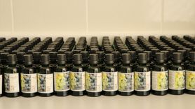 Tekirdağ'da Üzüm Çekirdekleri Ekonomi İçin Değer Kazanıyor