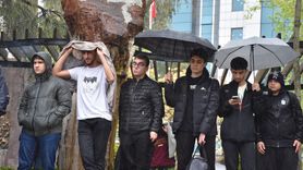 Trabzonspor'un UEFA Gençlik Ligi Finaline Yükselişi