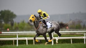 63. TBMM Koşusu'nu 'Deniz Efe' Kazandı