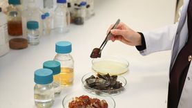 BTÜ'de Çevre Dostu Biyobozunur Ambalaj Filmleri Geliştiriliyor