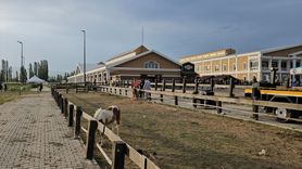 Çorum'da Uluslararası Atlı Dayanıklılık Yarışması Düzenlendi