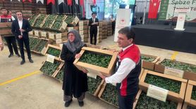 Silivri'de 1153 Çiftçiye 740 Bin Sebze Fidesi Dağıtıldı