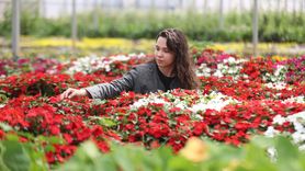 Yeni Nesil Çiftçiler: Arıcılıkla Geleceği Şekillendiren Gençler