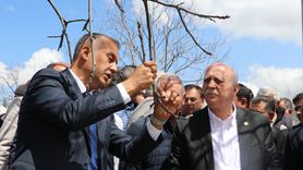 Zirai Don Hasarı İncelemesi: TZOB Genel Başkanı Bayraktar Gaziantep ve Kahramanmaraş'ta