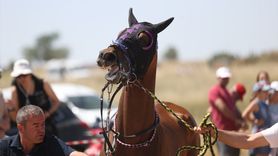 Kırklareli'de Yağlı Güreşler Kapsamında At Yarışları Yapıldı