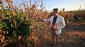 TBMM Zirai Don Komisyonu Mersin'de Narenciye Bahçelerini İnceledi