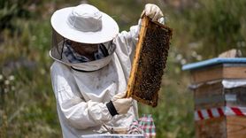 38 Yıldır Arıcılık Yapan Bayram Ali Akyıldız'ın İlginç Başlangıcı