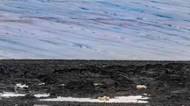 5. Ulusal Arktik Bilimsel Araştırma Seferi Ekibi Kuzey Kutbu'na Ulaştı