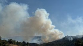 Afyonkarahisar'da Orman Yangınına Müdahale Devam Ediyor