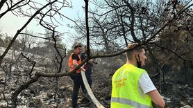 AK Parti Gençlik Kolları Başkanı İbiş'ten Orman Yangınları Açıklaması