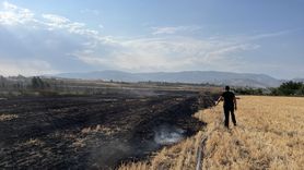 Amasya'da Yangın: 250 Dönüm Tarım Arazisi Zarar Gördü