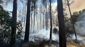 Antalya Aksu'da Yangın Söndürme Çalışmaları Devam Ediyor