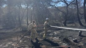 Antalya'da Orman Yangını: Havadan ve Karadan Mücadele