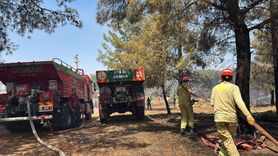 Antalya'da Orman Yangınlarıyla Mücadele Devam Ediyor