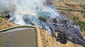 Aydın'daki Otluk Alan Yangını Kontrol Altına Alındı