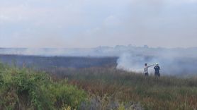 Bafra'daki Kızılırmak Deltası'nda Çıkan Yangın Kontrol Altına Alındı