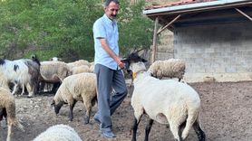 Bartın'da Çiftçiden Dronla Yaratıcı Kurt Önlemi