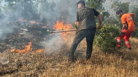 Bingöl'de Orman Yangınları Kontrol Altına Alındı