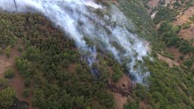 Bingöl'deki Orman Yangınlarına Hızlı Müdahale