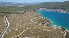 Bodrum Güvercinlik'te Fidanlarla Yeşeren Alanlar