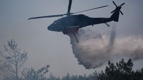 Bornova'daki Orman Yangınına Hızla Müdahale Ediliyor