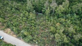 Bursa'da Orman Yangını Bölgesinde Tanker Devrildi: 1 Ölü, 2 Yaralı