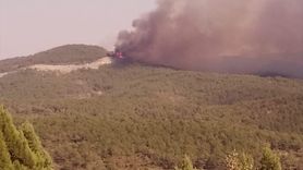 Bursa'da Orman Yangınına Müdahale Devam Ediyor