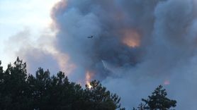 Bursa'da Orman Yangınına Müdahale Devam Ediyor